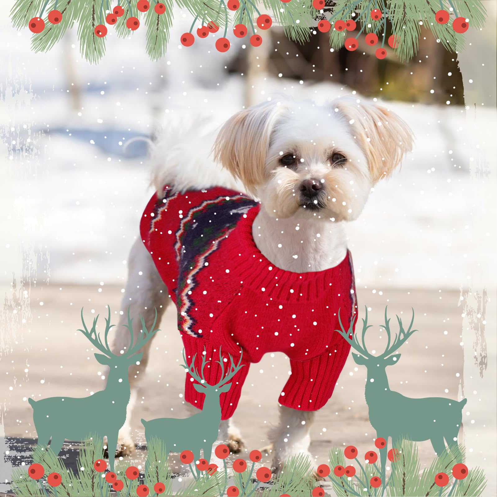 Queenmore Weihnachtspullover Grosse Hunde Wärme Dackel Hundepulli Strick Pullover Hund Strickmantel Mit Zopfmuster Hundepullover Französische Bulldogge Bulldog Chihuahua Katzen Corgi, Weihnachten, XL