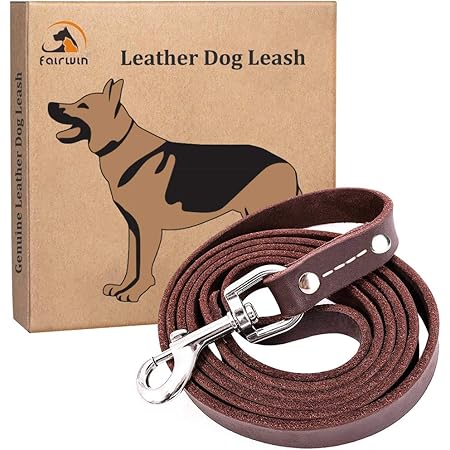 Fairwin braided leather dog leash Clearance