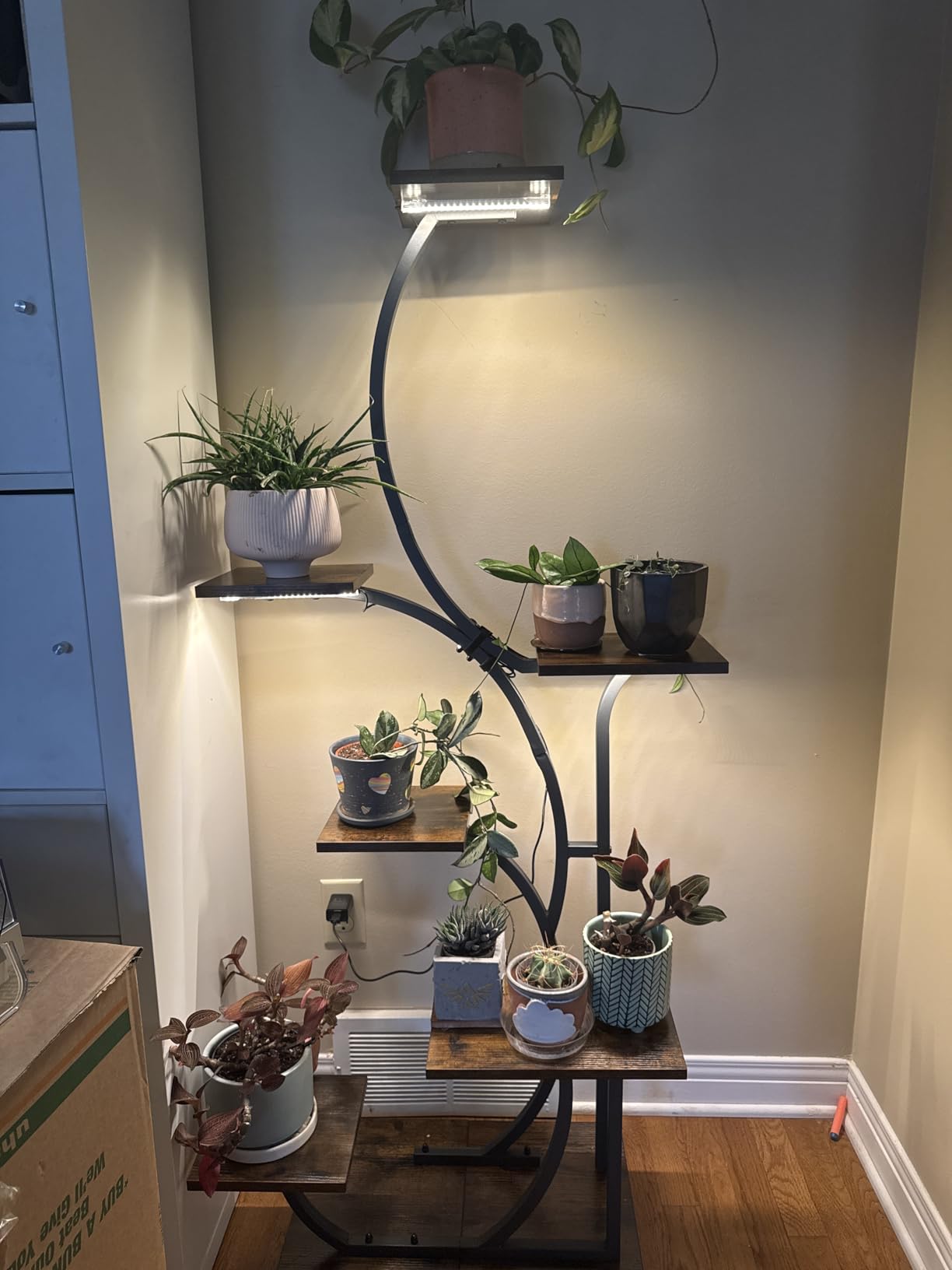 Customer photo