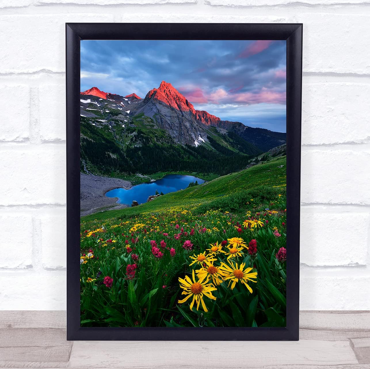 Fingerprint Designs Colourful Colorado Mountain Flower L Botanical Wildflower Wall Art Print