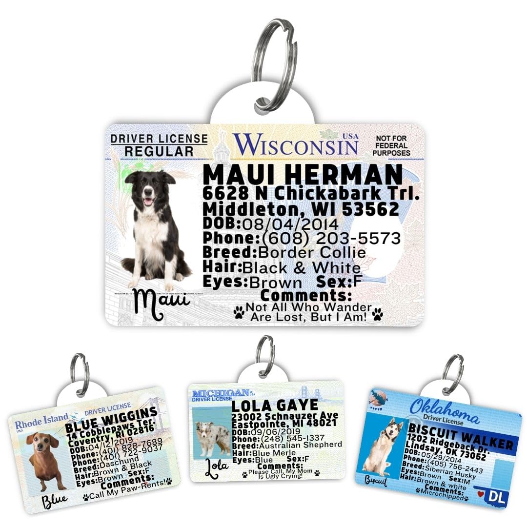 Wisconsin Driver License Custom Dog Tag for Pets and Wallet Card - Dog Tags for Dogs - Dog ID Tag - Personalized Dog ID Tags - Pet ID Tags for Cats - Personalized Pet ID Tags (Wisconsin, Tag)