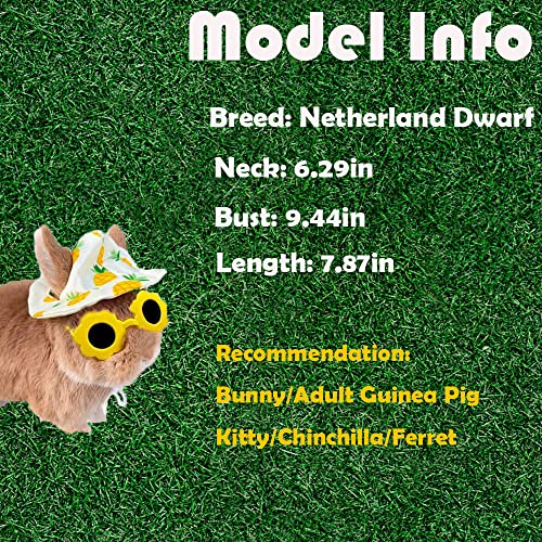 Cute Small Summer Hat And Glasses Costume Outfit Accessories For Pet Bunny Kitten Guinea Pig Chinchillas (Pineapple) #TOP5