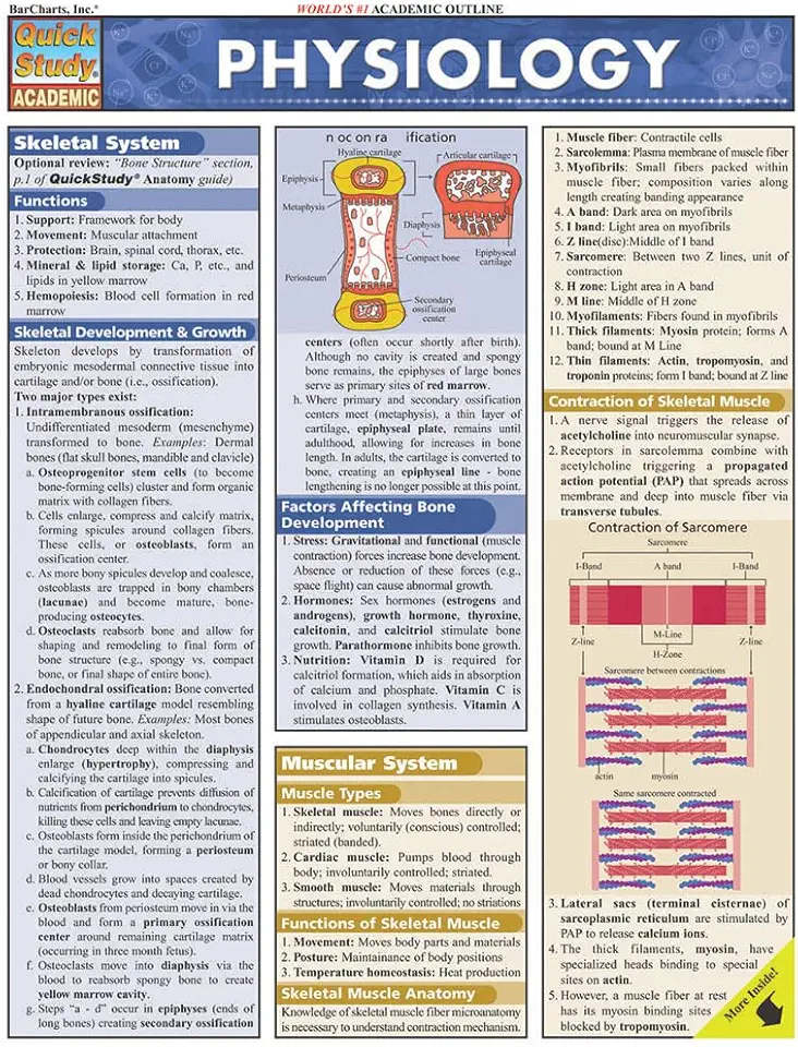 Physiology QuickStudy Laminated Reference Guide (QuickStudy Academic)