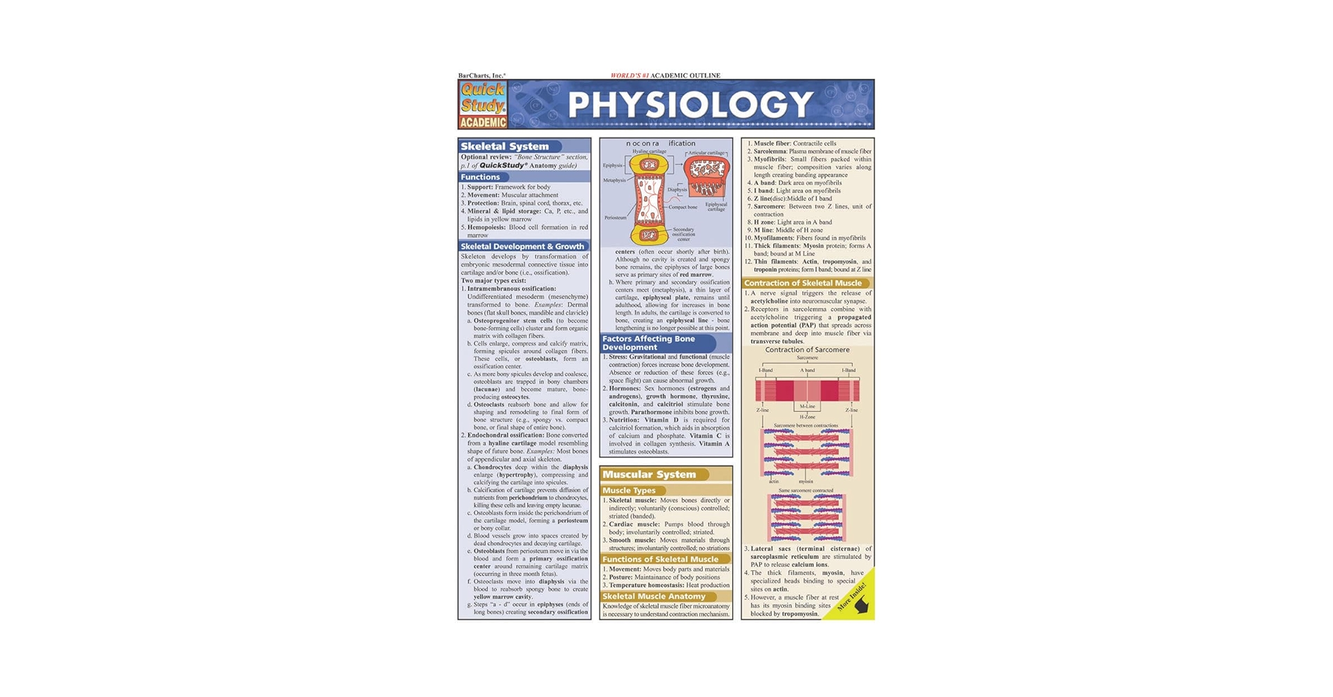 PHYSIOLOGY Quick Study Academic 生理学 Physiology QuickStudy Laminated Reference Guide (QuickStudy