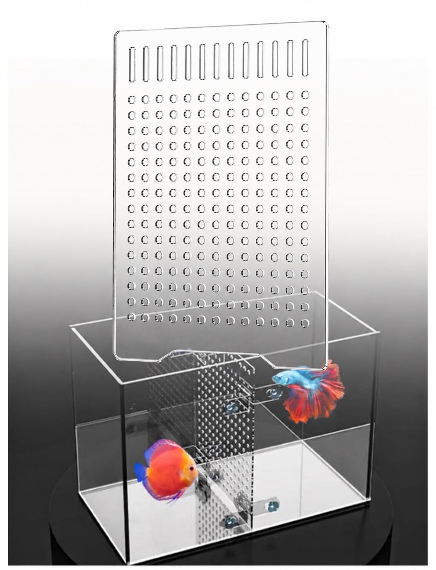 Générique Séparateur pour Aquarium 5 mm en Acrylique Transparent, Cloison de Bassin avec Ventouses Réglables, Panneau d’Isolement pour Poissons et Alevins(19x29 cm)