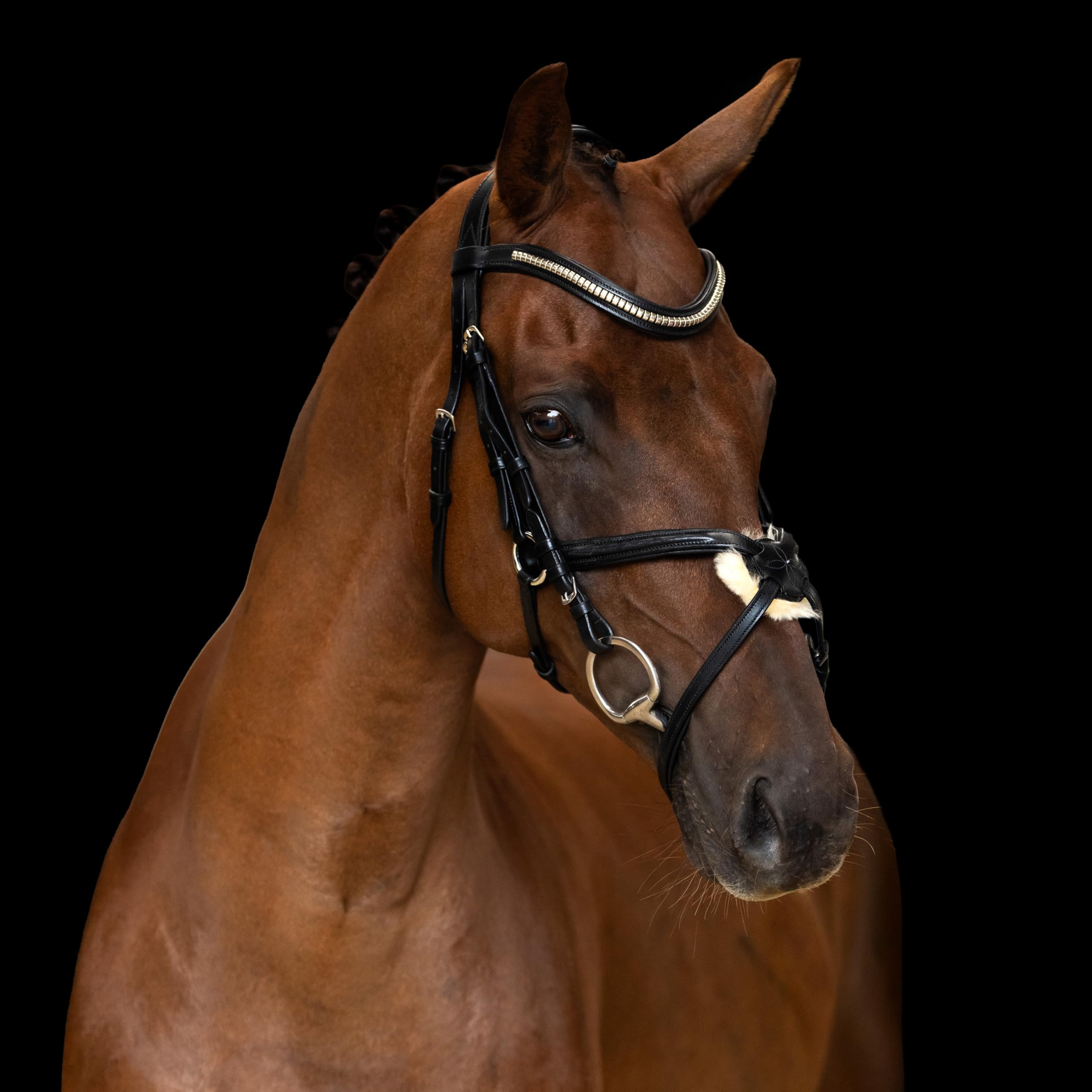Imperial Riding Mexikanisches Zaumzeug IRH, Leder mit breitem Nasenband und gepolstertem Genickstück, Schwarz, Full