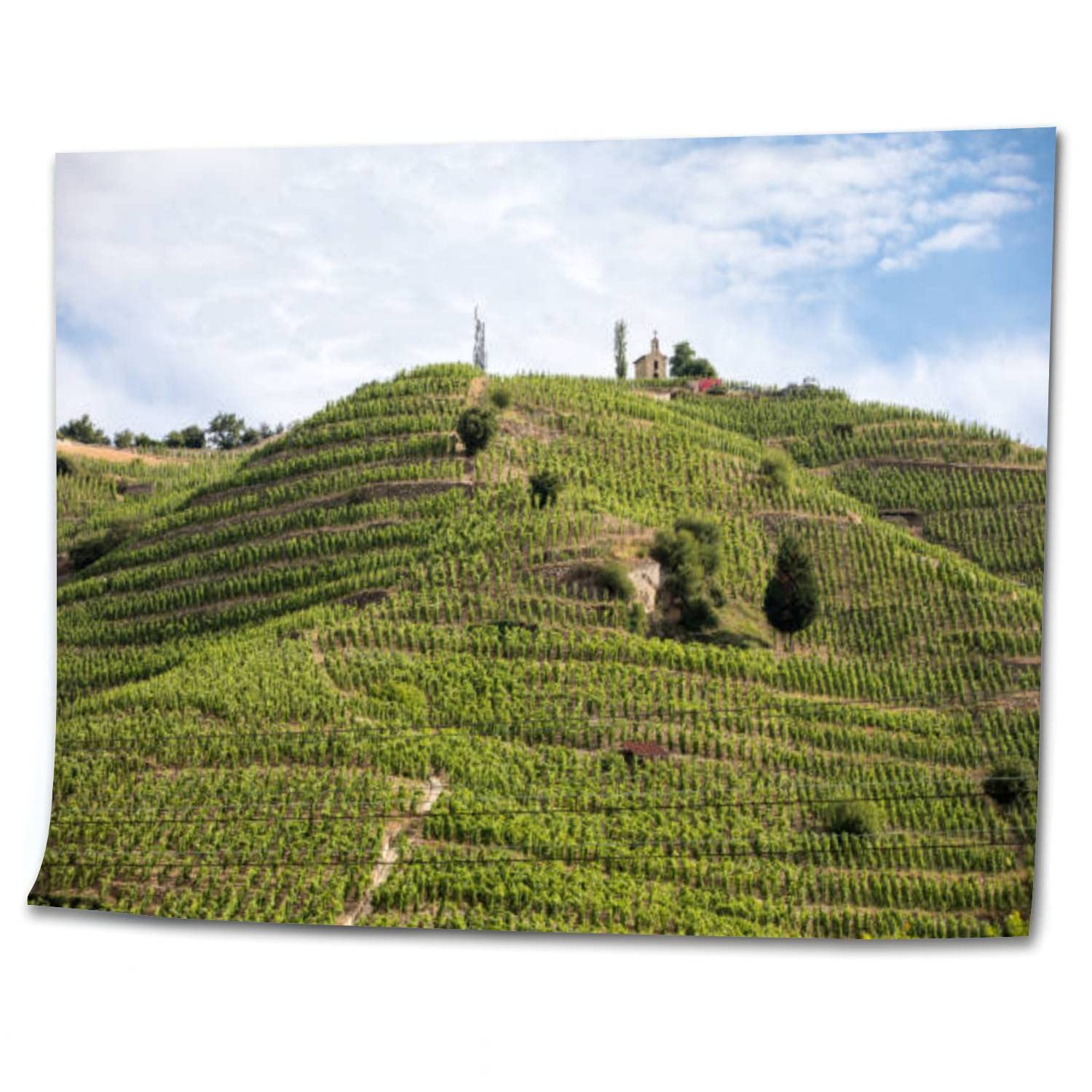 DIY Paint by Numbers View M Chapoutier Crozes Hermitage vineyards Tain lHermitage valley Canvas Painting Set with Acrylic Pigment Paintbrush for Adults Kids Beginners Artwork Gift 16" x 20"