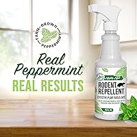 Vista 2 de Repelente de roedores con aceite de menta de Mighty Mint – Spray repelente natural para interiores y exteriores contra ratones y ratas – Fórmula