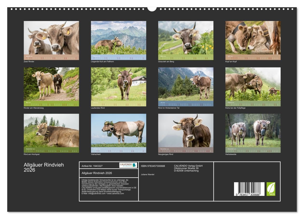 Allgäuer Rindvieh 2026 (hochwertiger Premium Wandkalender 2026 DIN A2 quer), Kunstdruck in Hochglanz: Ein Kalender für alle Allgäu- und Kuhliebhaber. (CALVENDO Tiere)