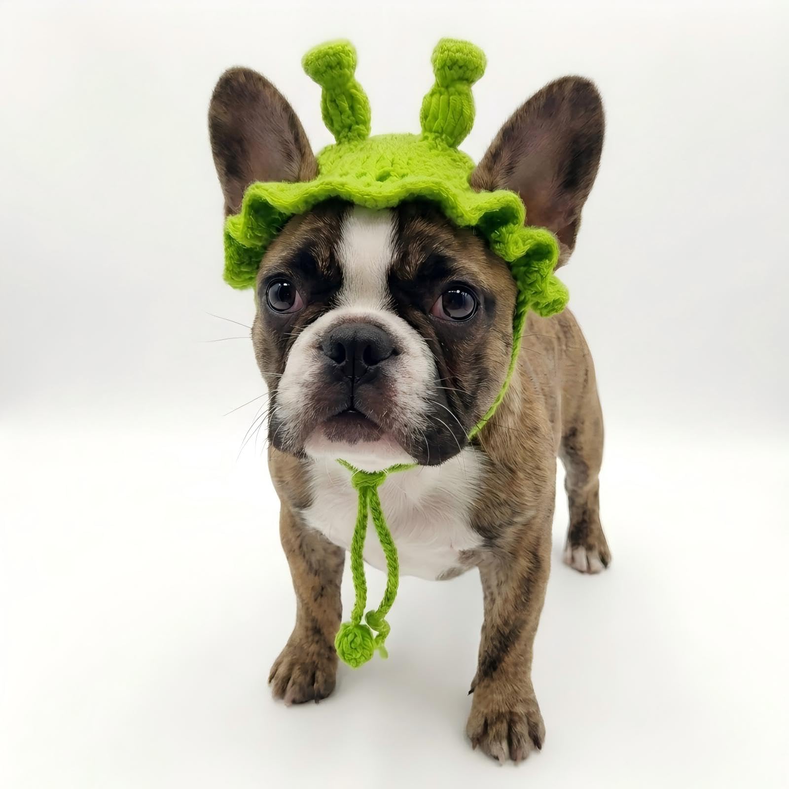 MITOCAPY Dog Costume,Handmade Knitted Cat Outfit,Cartoon Cat Costumes and Hat,Green Monster Clothes and Hat,Funny Dog Outfit,Birthday,Wedding,Holidays