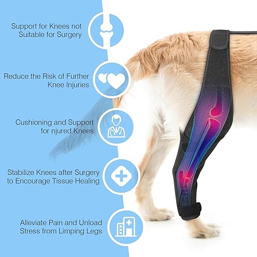 Miniatura 3 de Rodillera ajustable para perro  Soporte para piernas de perro ACL para apoyo con lesiones de ligamento cruzado, dolor articular y dolor muscular,