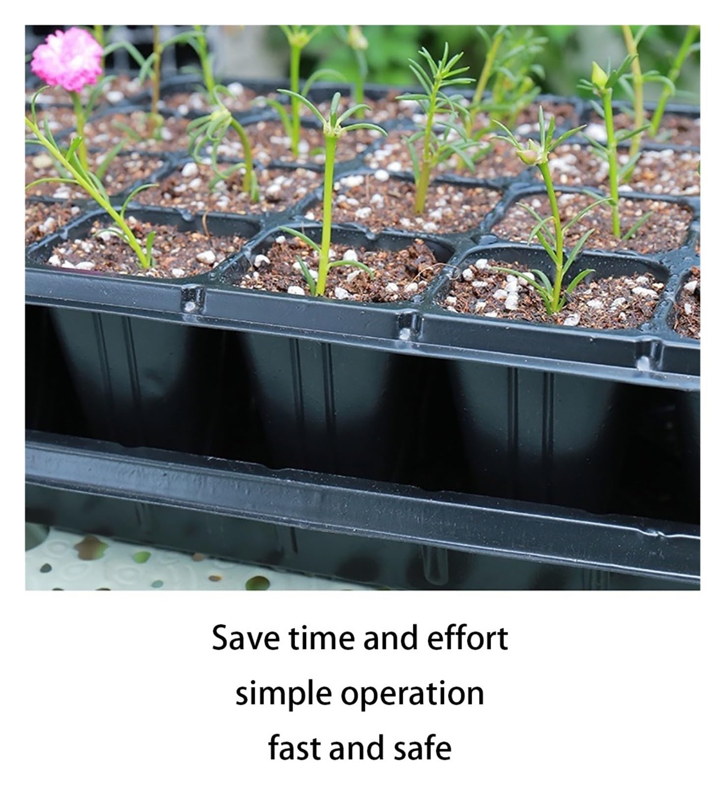 Semilleros De Germinacion 10 bandejas de plástico for sembrar Semillas, 50 Celdas, Gruesas y duraderas, for sembrar Semillas de Frutas y Verduras