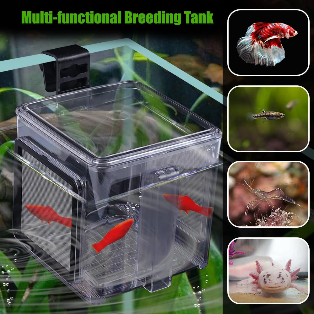 MiOYOOW Fischzuchtbox, 15x15x15 cm Acryl Fisch Isolationsbox mit Hakenhalterung, Abnehmbar Aquarium Aufzuchtbecken für Jungfischen Garnelen Clownfische Guppys