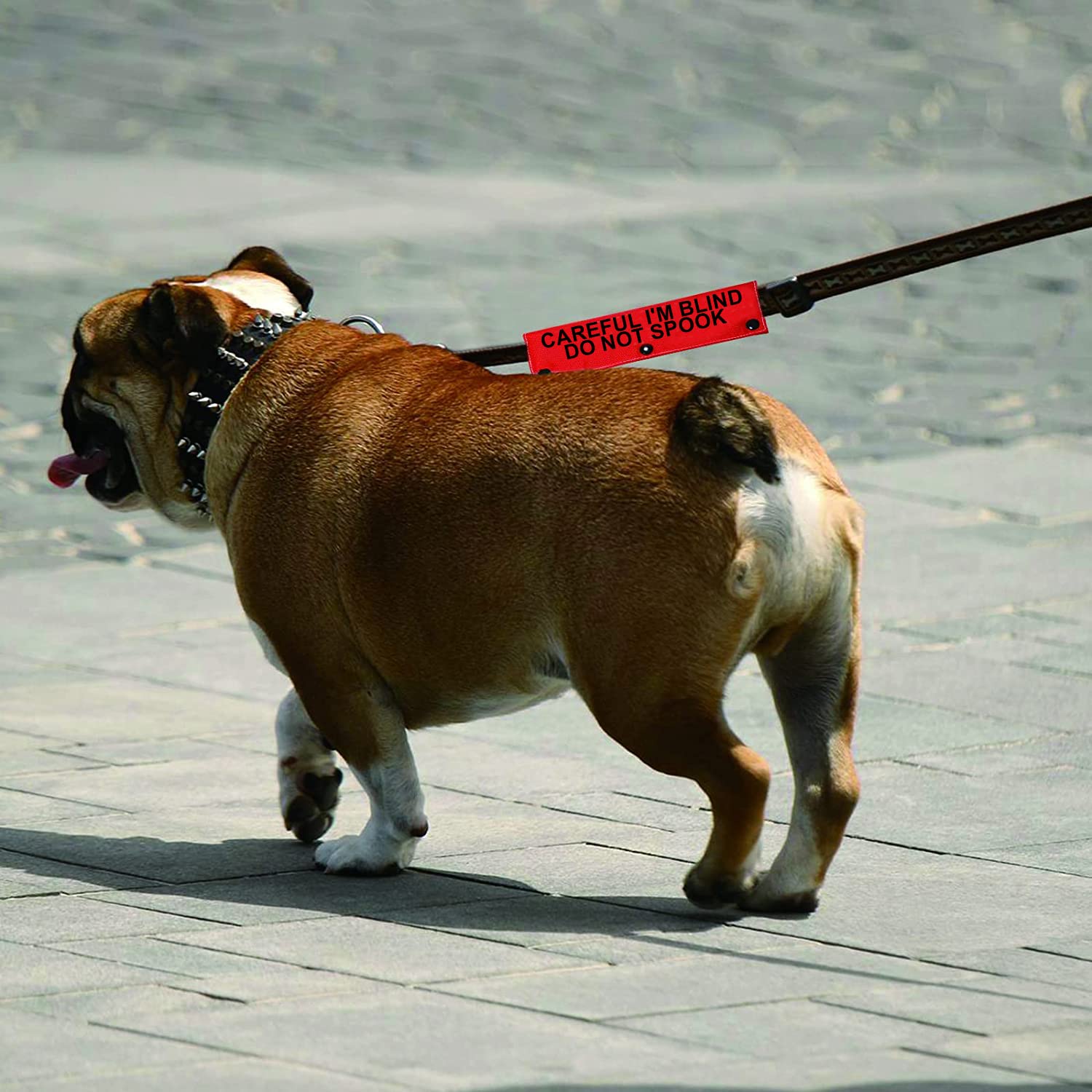 Blinden-Hinweis-Hundeleinenhülle Mit Aufschrift: 'Careful I'm Blind Do Not Spook' – Witziges & Praktisches Hundezubehör Als Geschenk