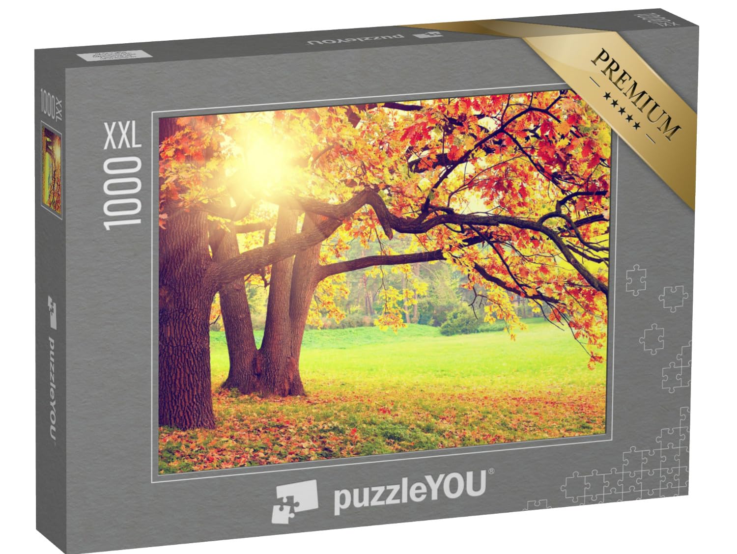 Puzzle 1000 pièces XXL « Paysage d'automne avec de Vieux Arbres »