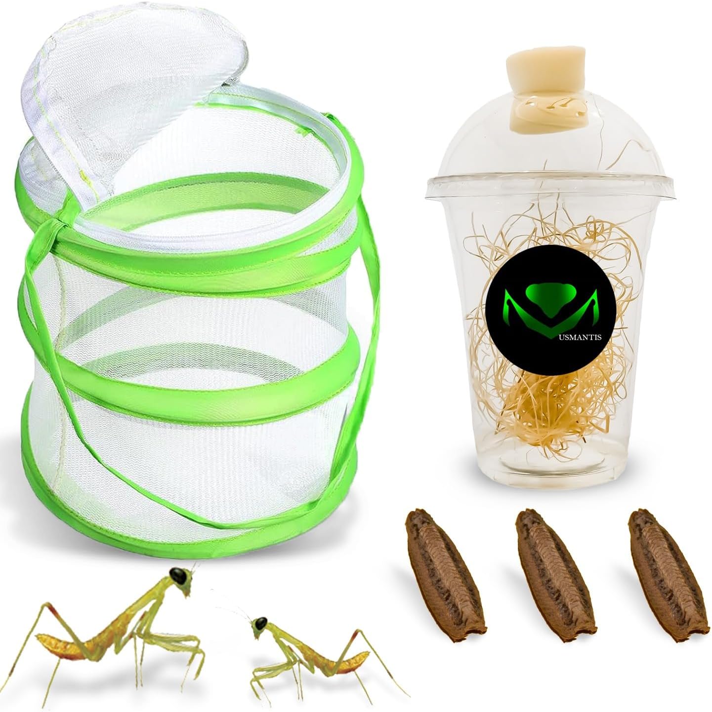 USMANTIS Carolina Praying Mantis Habitat Kit with (Three Egg Cases) - Use Indoor & Outdoor Hatching This Praying Egg Cases & Comes with Mantis Hatching Bag, Each Egg Case Produces 50 to 200 Nymphs