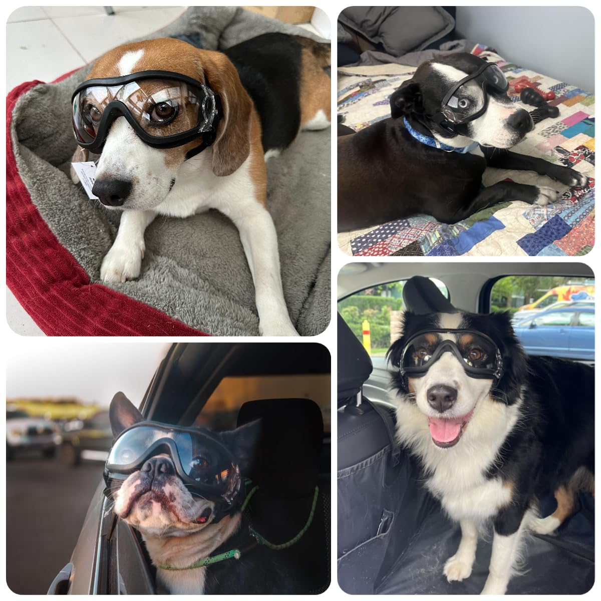 NAMSAN Occhiali da Sole per Cani con Cinturino Regolabile - Facile da Indossare - Protezione per Gli Occhi per Cani di Taglia Medio-Grande