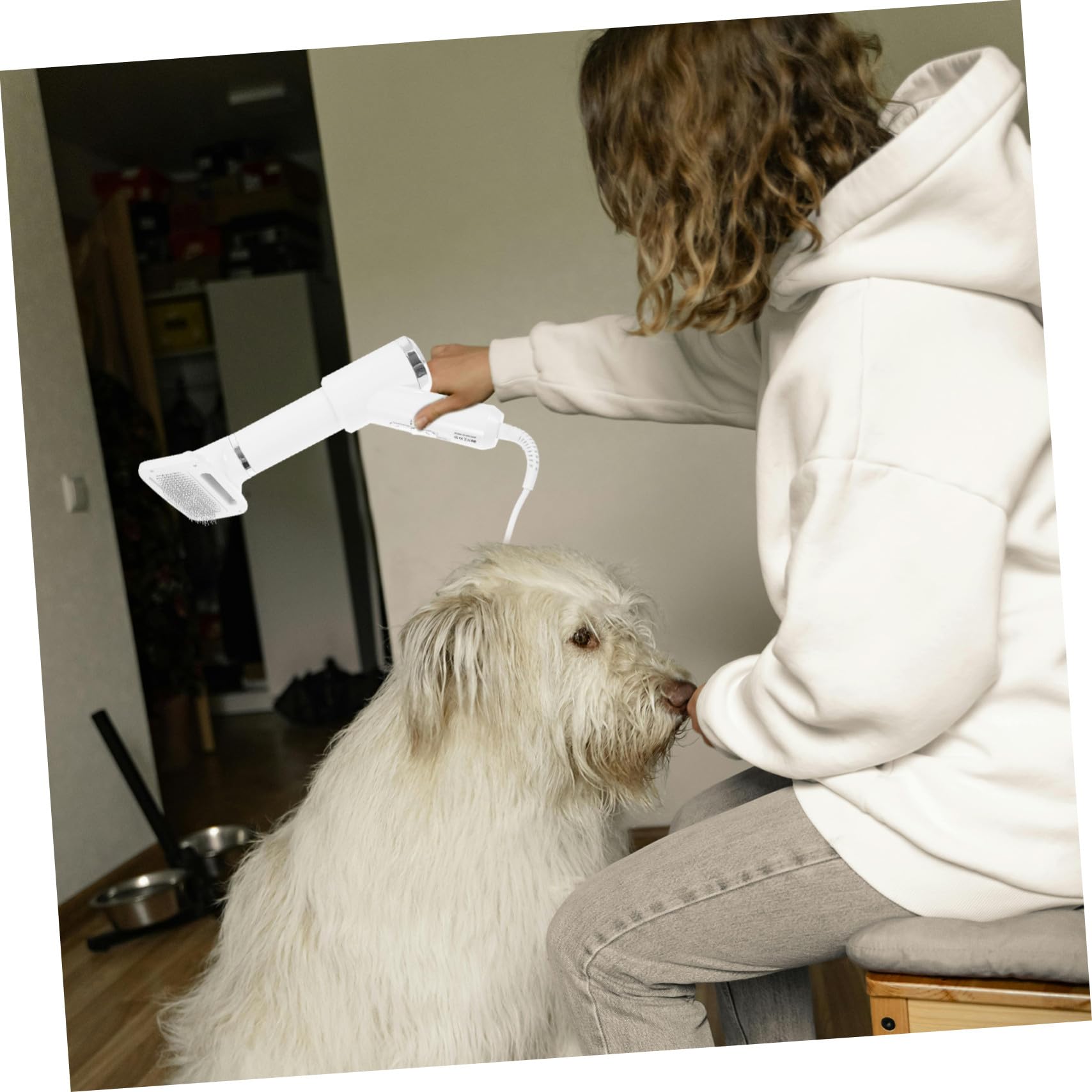 Brosse-souffleur pour Animaux Portable, Peigne Démêlant Blanc en Plastique | Chat et Chien, Usage de Toilettage, Format Compact, Accessoire pour Propriétaires D’animaux