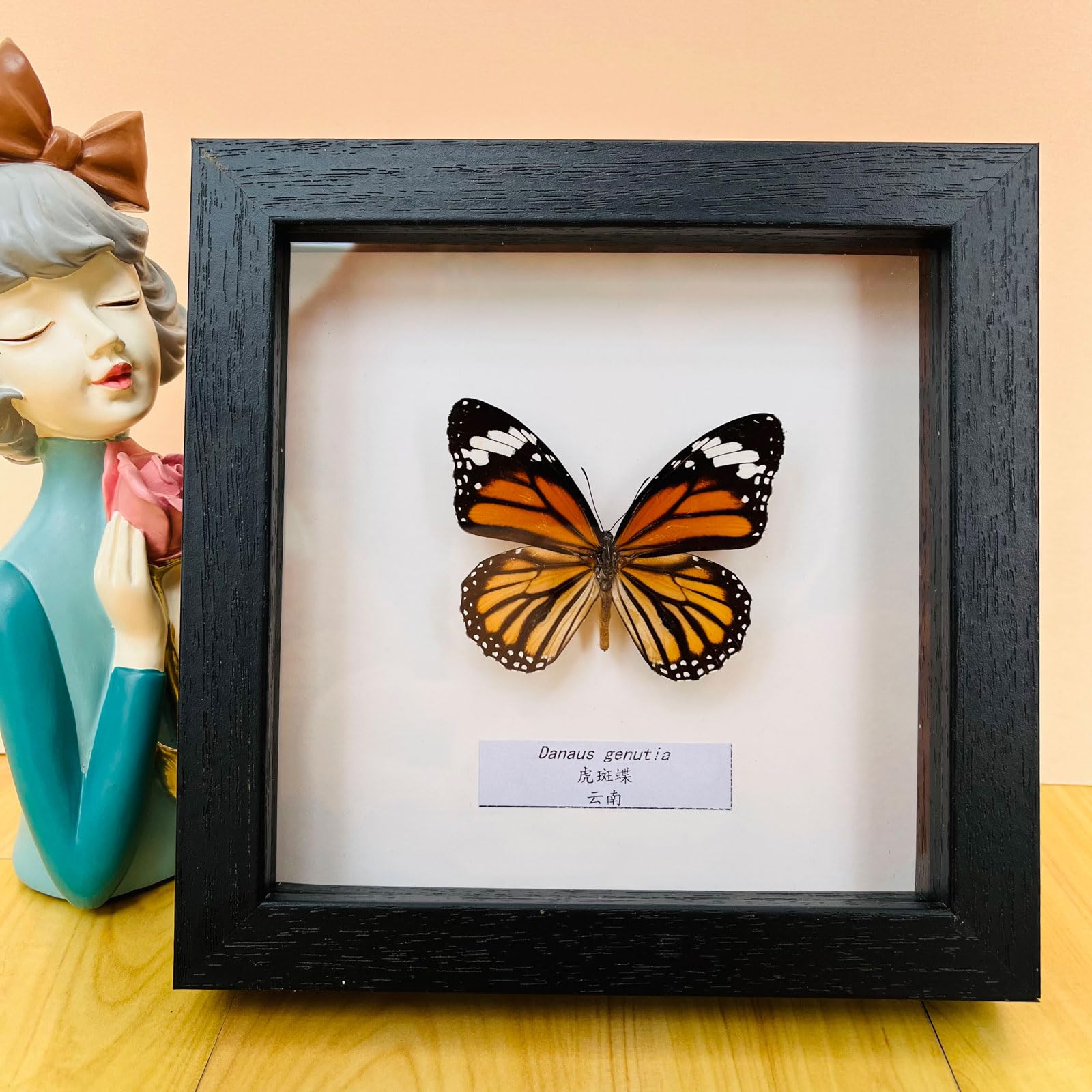 Taxidermy Mounted In Frame,Exquisite Butterflies Insect Specimen,Collection Of Butterfly,Unique Home Decor Wall Decoration Gift For Christmas Valentine Birthday,Real Butterfly Specimens17.6*17.6cm