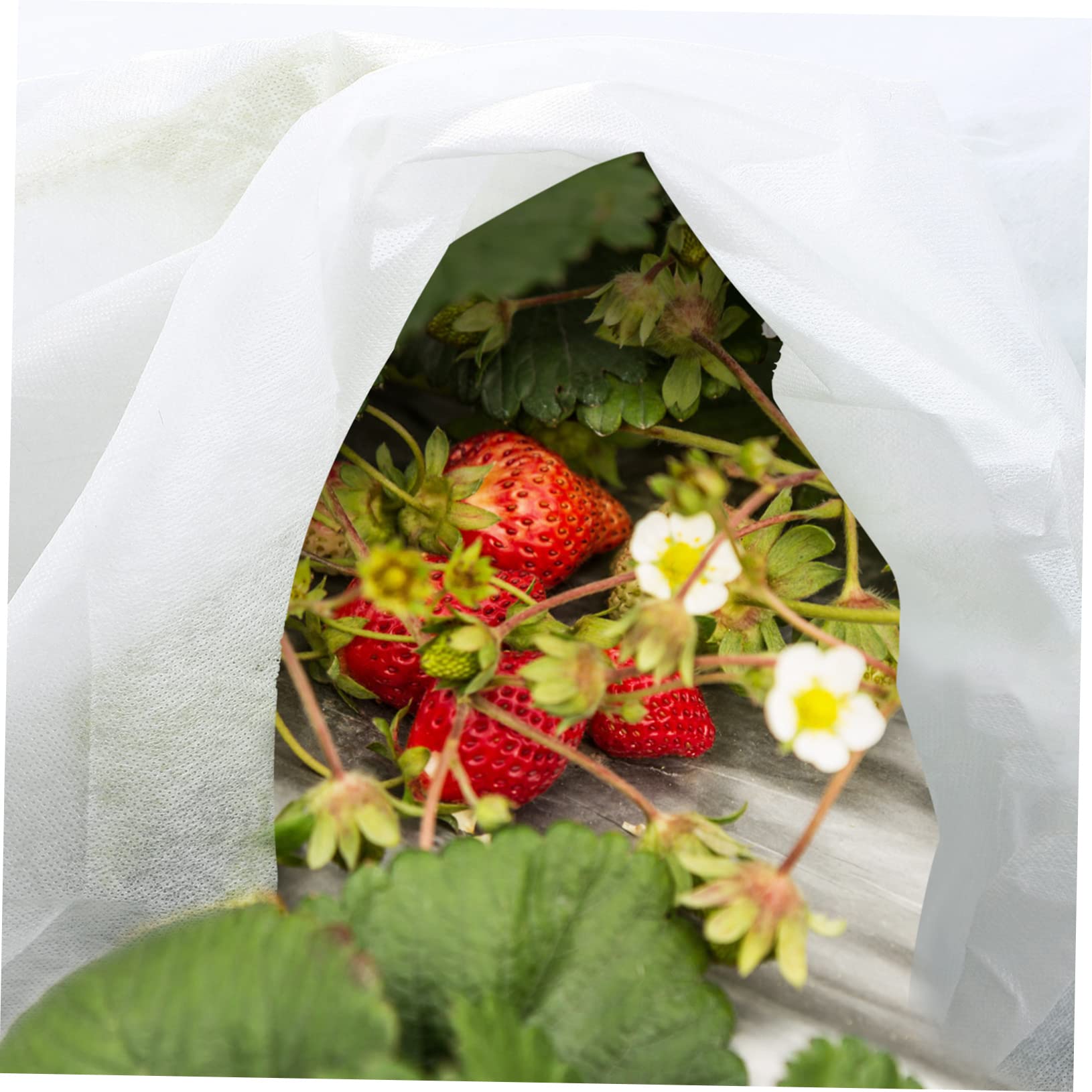 2 Pezzi Telo Non Tessuto Bianco per Piante, Copertura Antigelo per Piante, Protezione Riutilizzabile e Pieghevole per Giardino