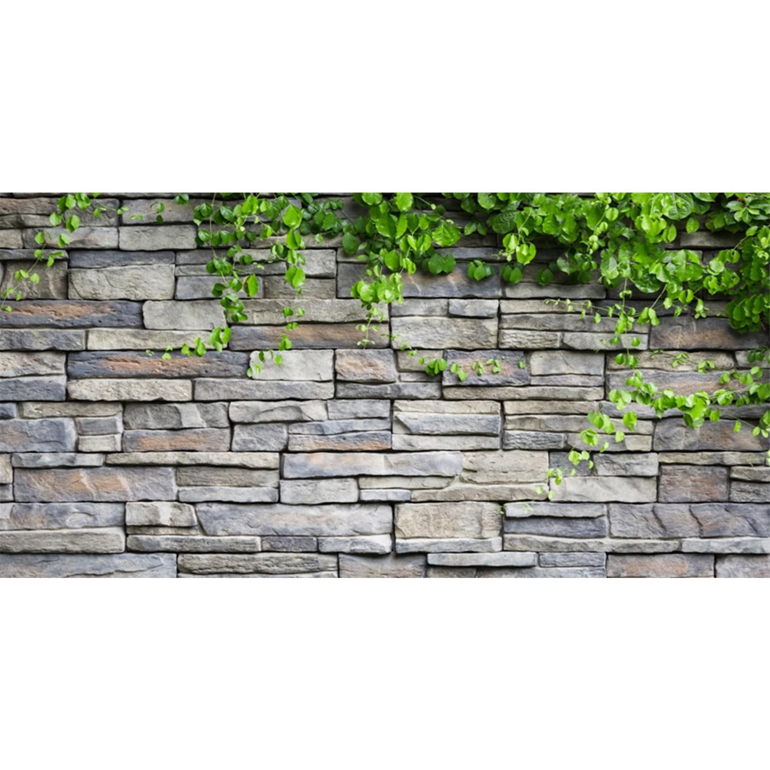 AWERT Vinyl 30x12 inches Stone Brick Wall Aquarium Background Rock Fish Tank Background Spring Leaves Terrarium Background