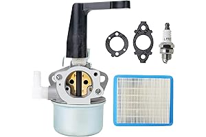 Briggs and Stratton 5 HP 5.5HP Carburetor