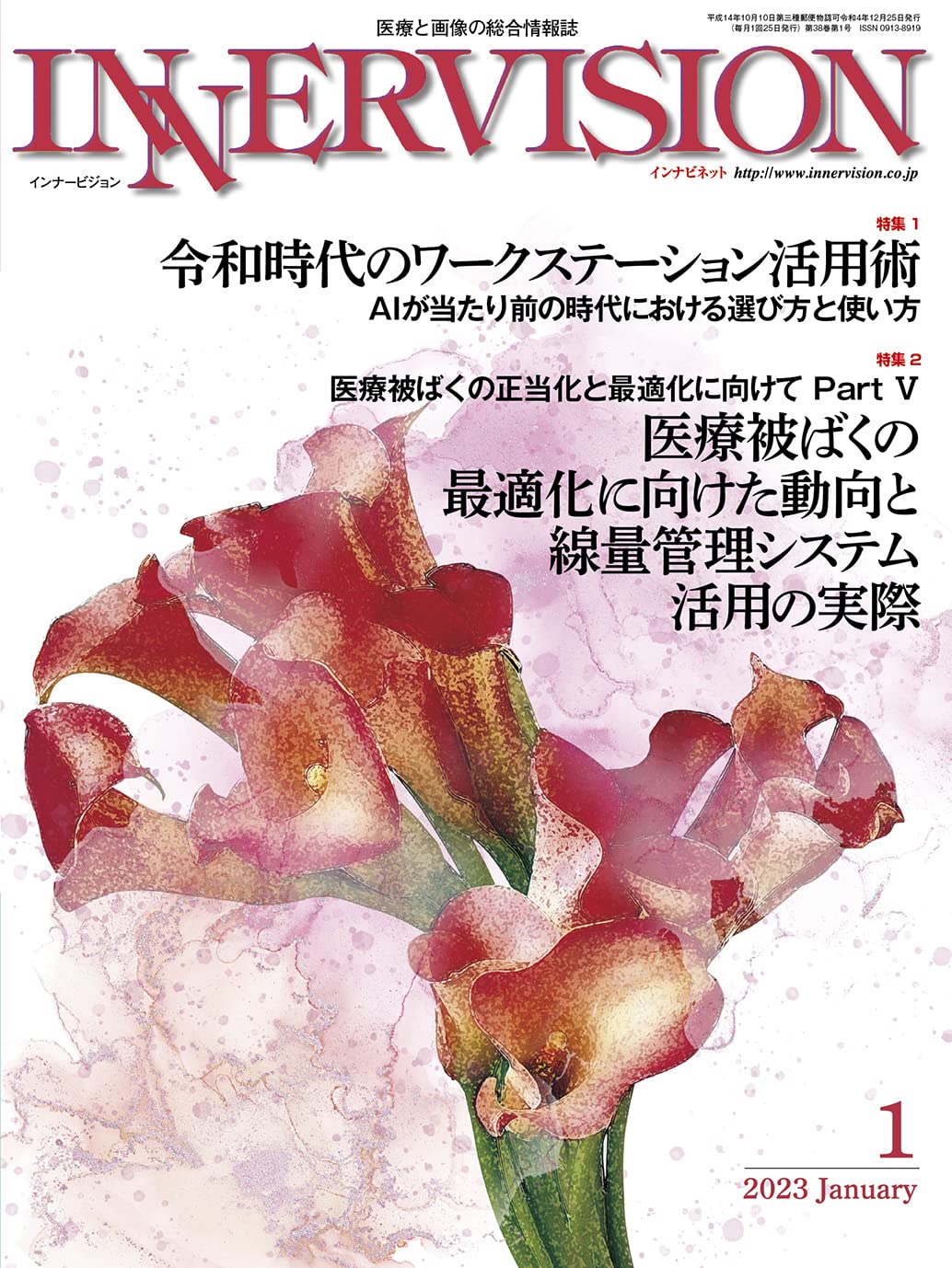 月刊インナービジョン2023年1月号Vol.38, No.1−特集1 令和時代