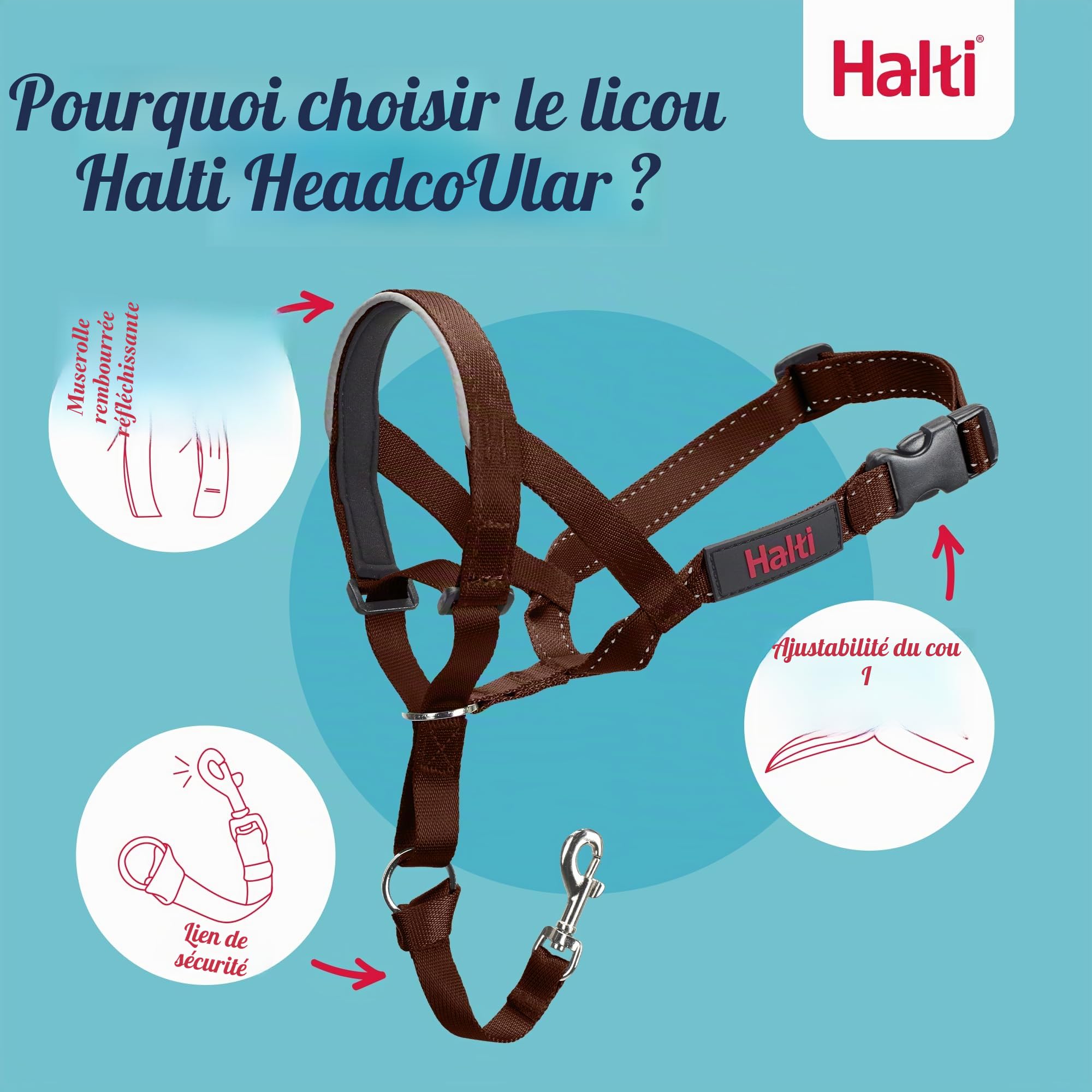 Licol HALTI - pour Que Votre Chien arrête de Tirer sur sa Laisse, Partie entièrement matelassée sur Le museau, Colliers Anti-Traction pour Chiens de Taille Moyenne (Taille 3, Brun Noisette)