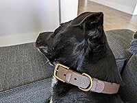 Review Image by Kevin Kevin