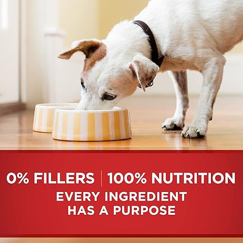 Miniatura 7 de Purina ONE Dog Food