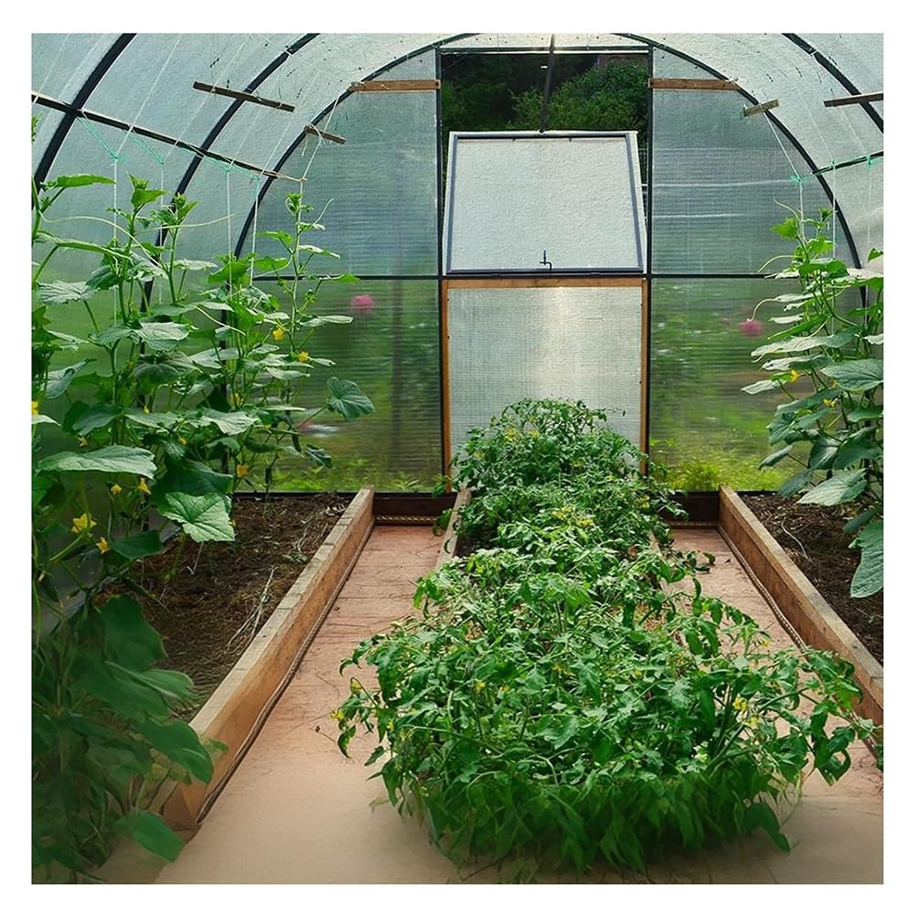 Toit en polycarbonate 1,5x3m imperméable pour abri de jardin et balcon