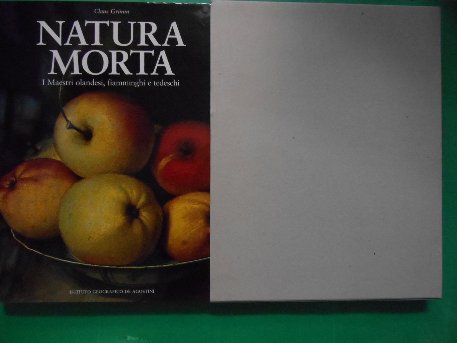Natura morta. I maestri olandesi, fiamminghi e tedeschi