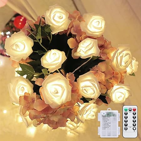 Amazon.com: Rose String Lights, 20 LED Battery Operated Romantic Red ...