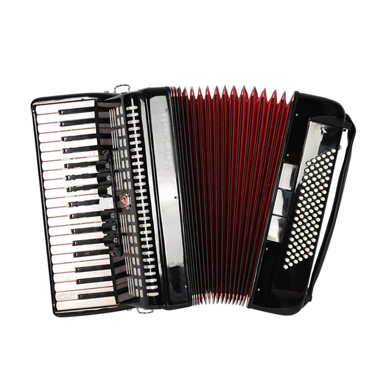 Fisarmoniche a Piano Professionale, Fisarmonica a 37 Tasti 96 Bassi, con Tracolla Regolabile e gig Bag,Nero