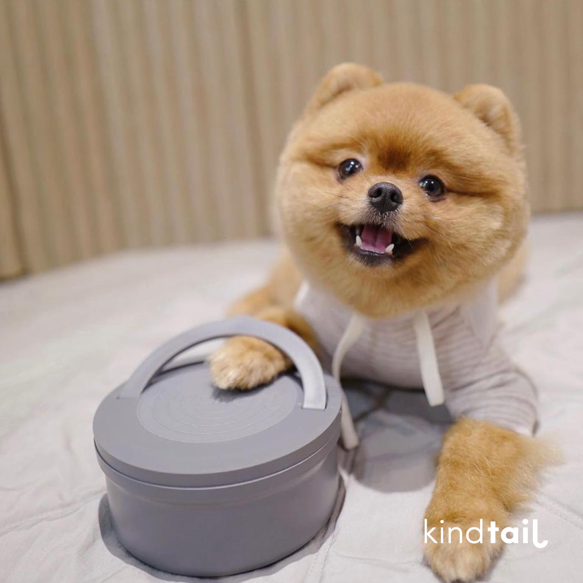 KindTail Portabowls – Tragbare Haustiernäpfex2, Reise-Hundenäpfe, Innennapf mit 284 ml Fassungsvermögen und Außennapf mit 590 ml Fassungsvermögen, Grau