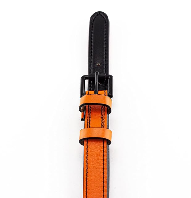 Foto 4 de 8 de Brute Strength - Collar de Cuero para Perro - Naranja - M · 36–43 x 2,5 cm