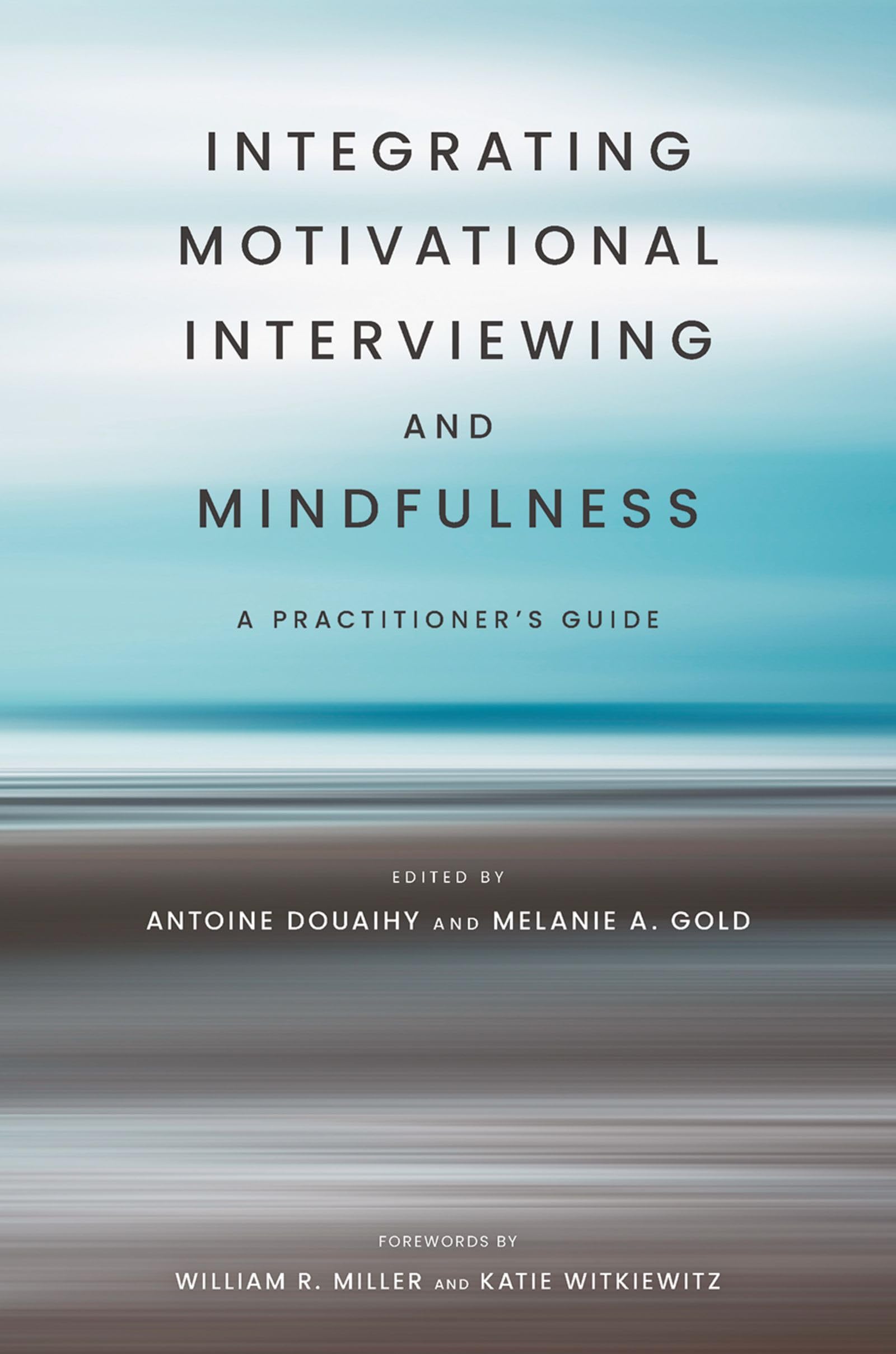 Integrating Motivational Interviewing and Mindfulness: A Practitioner's Guide (20230301)