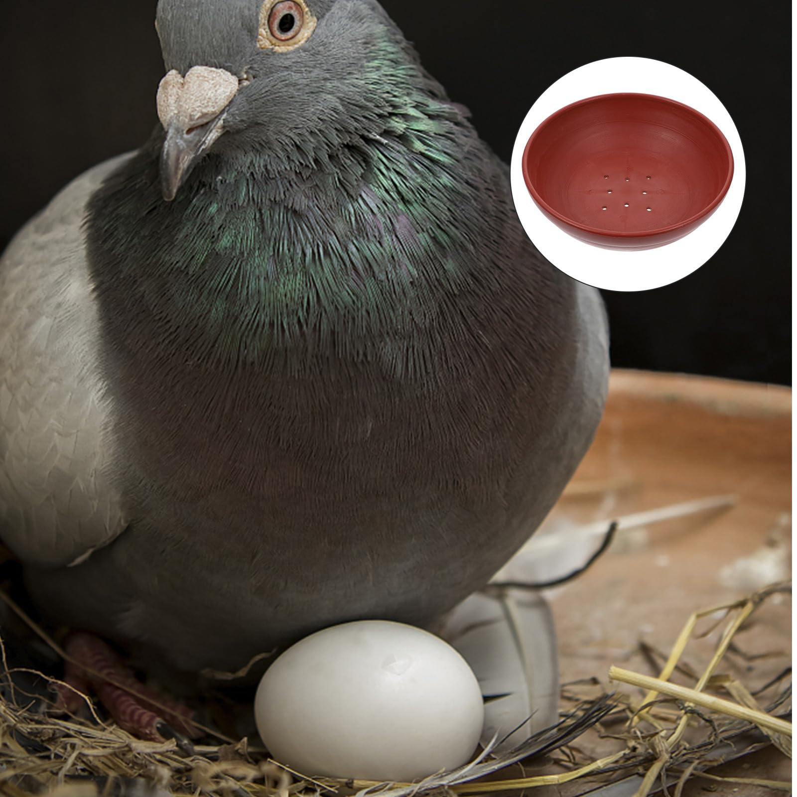 BETOOKY 2 Stück Kunststoff Taubennestschalen für Wachteln und Tauben mit Fester Stabilität Braun Multifunktionale Vogelnester für Haushalt und Vogelzubehör