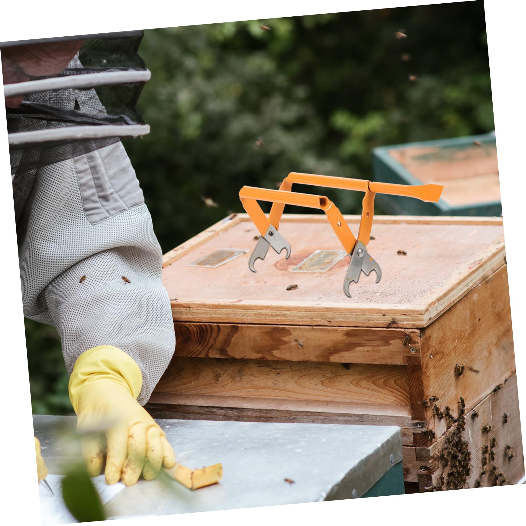 Jadeshay L'apicoltura In Acciaio Inossidabile Equipaggia | FindTheDeal