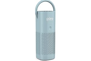 PureZone Pure Enrichment Mini Portable Air Purifier
