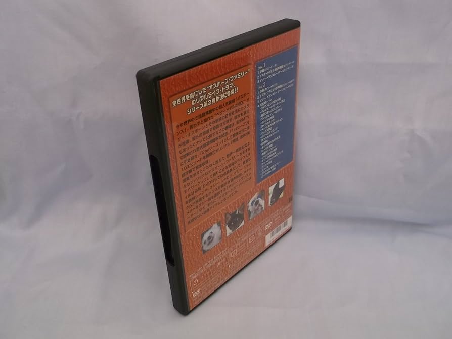 71Di2ZW48BL._AC_UF894,