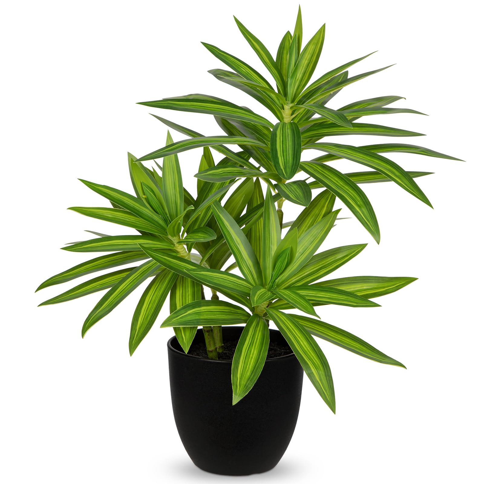 GnFlus 16.1 Inch Dracaena