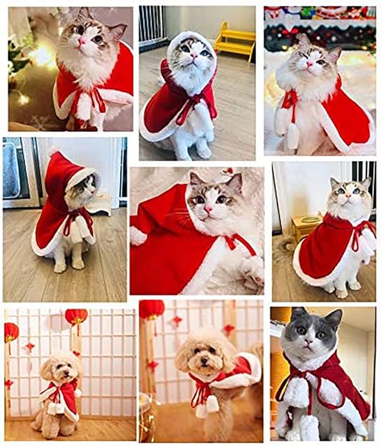 Foto 6 de 6 de Gorro, Bufanda y Capa Con Capucha de Navidad Para Disfraz de Perro Pequeño, Ropa de Perros y Gatos