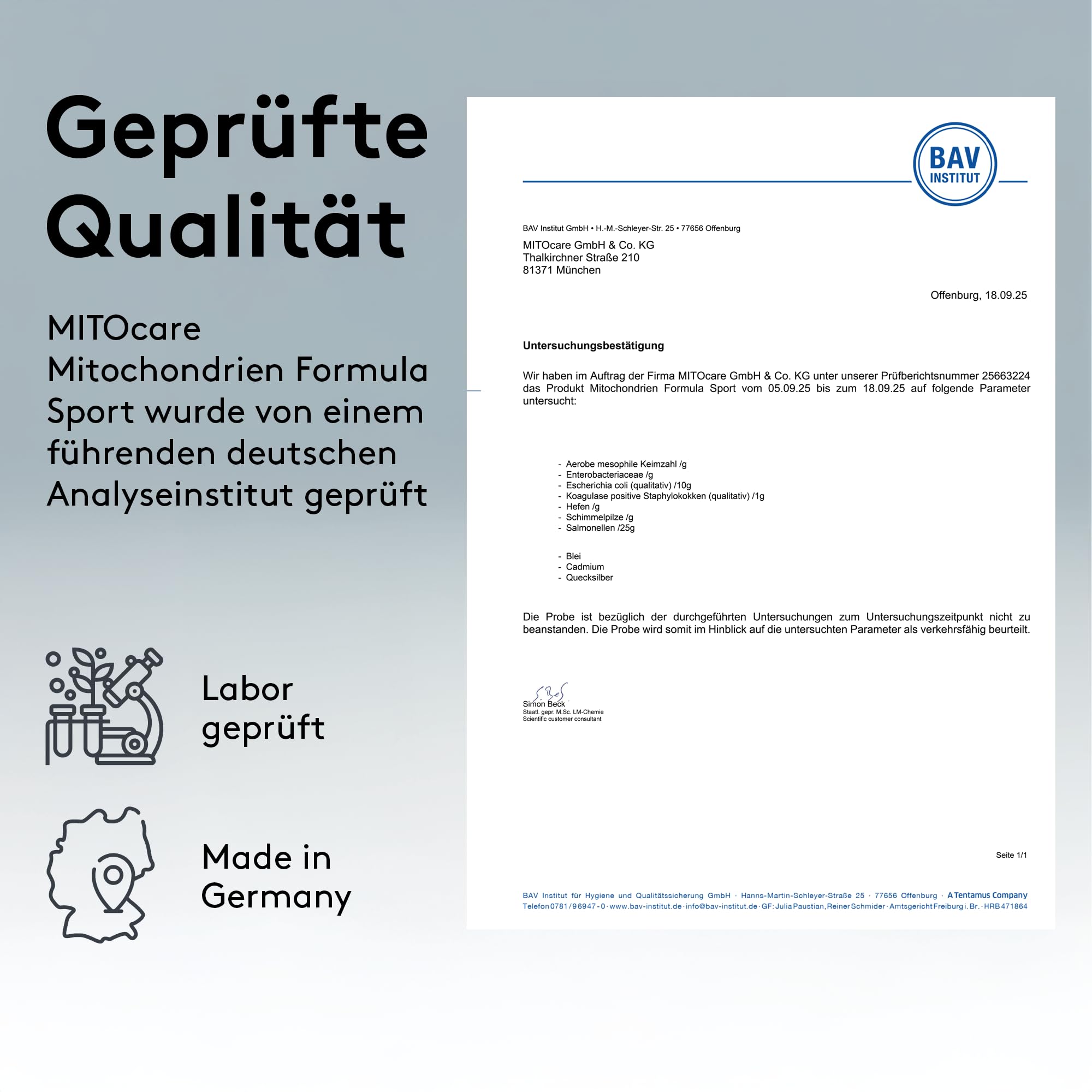 MITOcare Mitochondrien Formula Sport - Nährstoffkomplexmischung für Sportler - optimale Basis - Vitamine, Mineralstoffe & Pflanzenstoffe - Monatspackung mit 240 Kapseln - Produziert in Deutschland