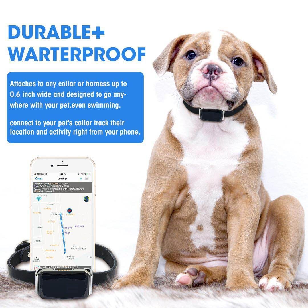 Localizador de mascotas, impermeable, antipérdida, con posicionamiento real y preciso, múltiples alarmas remotas para perros y gatos