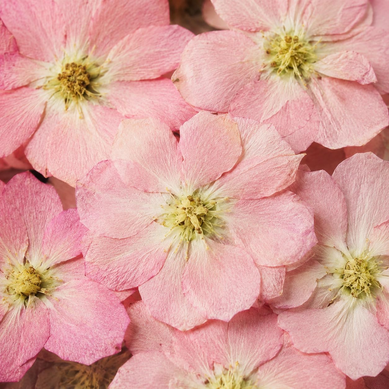 Yunmeryker Papierschöpfrahmen 15x18cm, Papier Schöpfen Set mit Blüten, Kreativset für handgeschöpftes Papier, 18-teiliges Starterkit für Bastler, Hellrosa Blüten, rose
