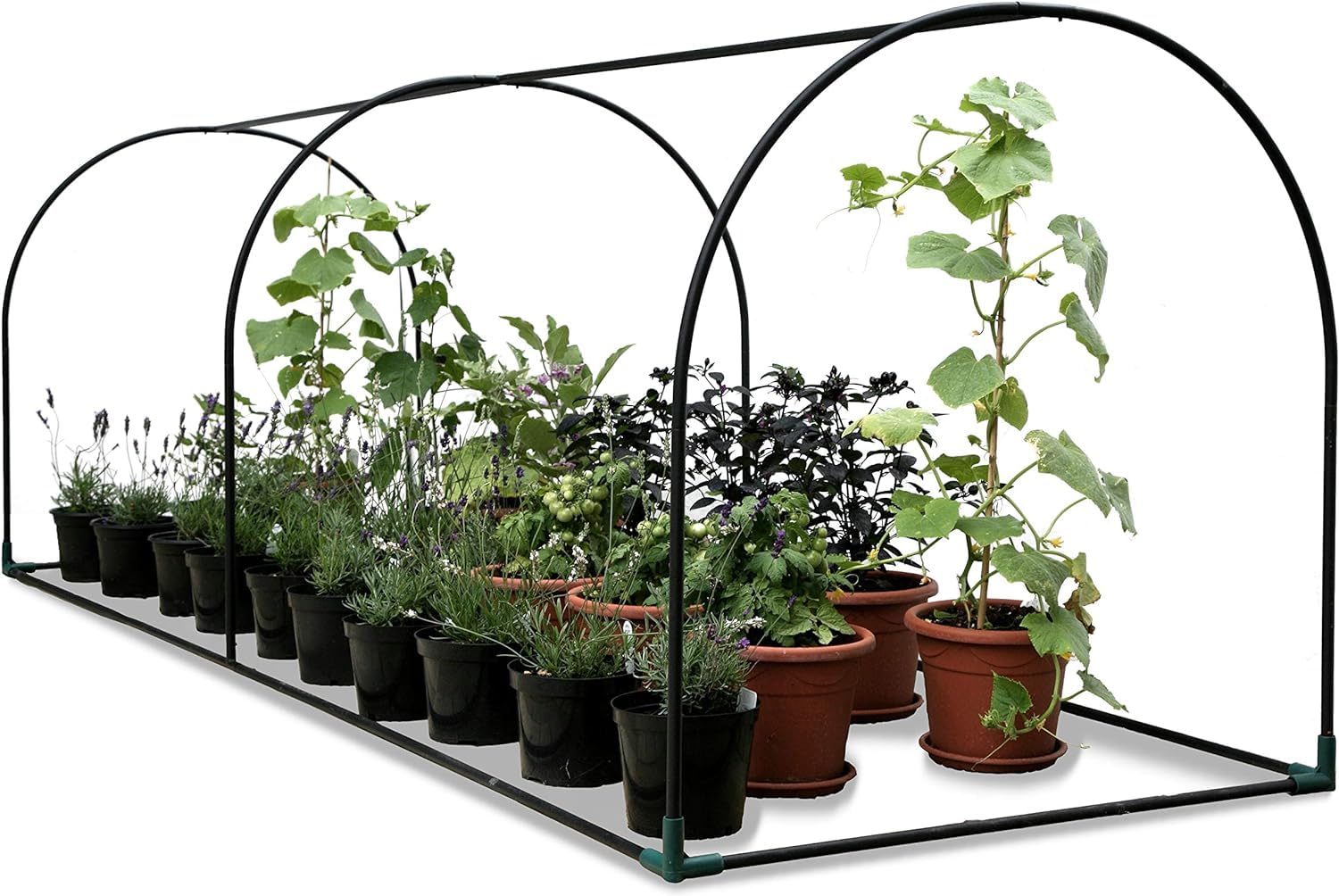 Haxnicks Telaio per coltivatore | Telaio per serra per piante in acciaio facile da montare, basta aggiungere rete per insetti o copertura in poli | Crea una piccola serra in poli tunnel freddo | 3 m x 1 m x 1 m | FTUN010101