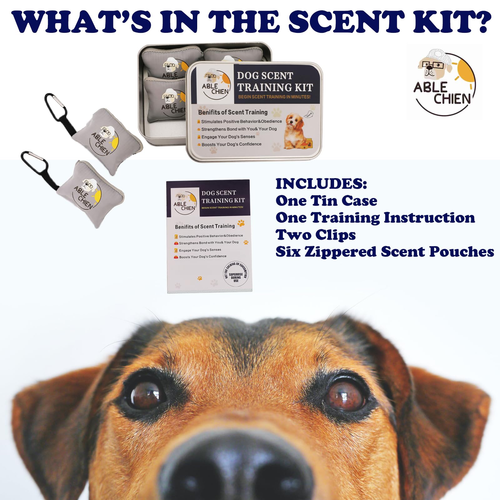 Interactive Dog Toys Dog Scent Training Kit Anise Scent Pouch