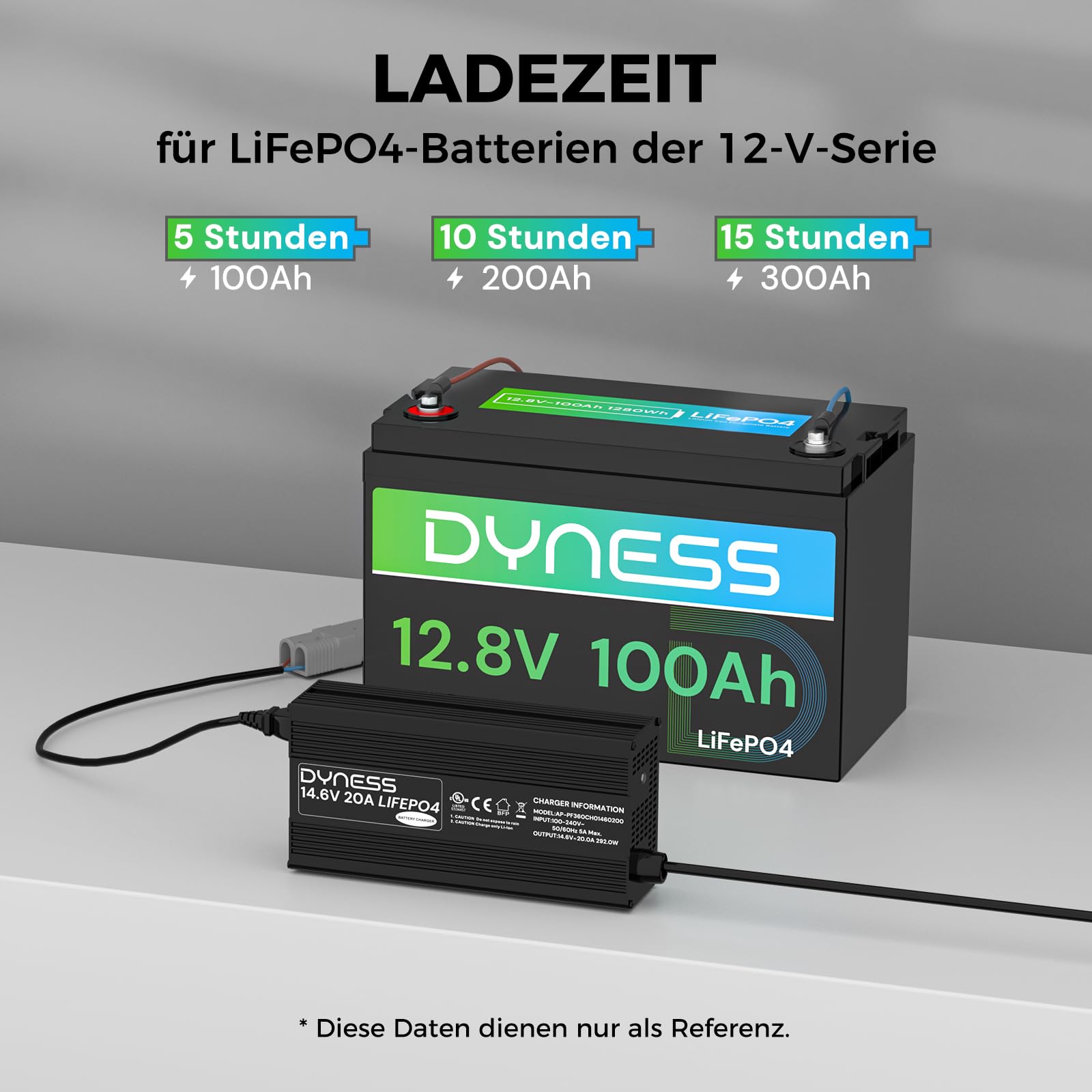 Dyness 14,6 V 20 A litowa ładowarka do akumulatorów