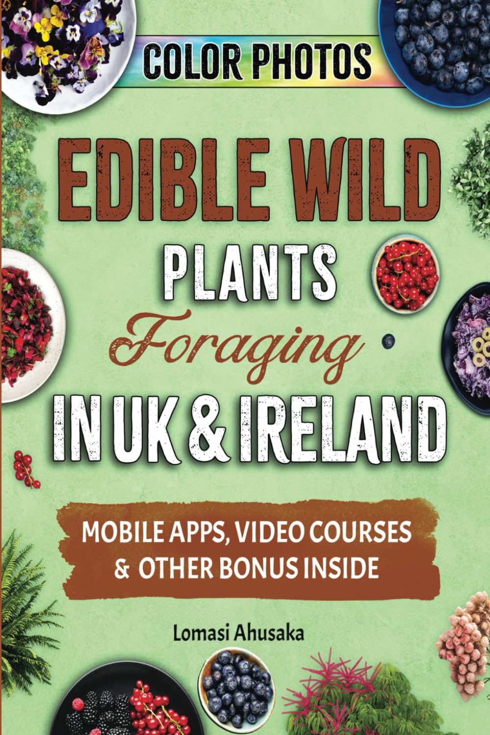 Edible Wild Plants Foraging in UK & Ireland: Learn How to Identify Safely and Harvest Nature's Green Gifts (Forager's Guides)